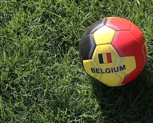 red-and-yellow-belgium-soccer-ball-on-grass